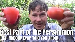 Best Part of the Persimmon Fruit that Nobody Ever Told You About [upl. by Fendig742]