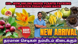 150 NEW ONLINE ORDER PLANTS PACKING DISPATCH TODAY RESTARTED ALL FRUIT PLANTS ONLINE SALES [upl. by Gannie]