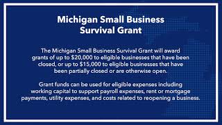 Michigan Small Business Survival Grant  Application Walkthrough [upl. by Balas925]