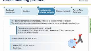 Flow cytometry introduction and troubleshooting [upl. by Umeko209]