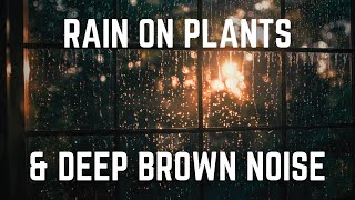 Rain on Plants with Ultra Comforting Deep Brown Noise  12 hours  Black Screen  Midway Ads [upl. by Najar]