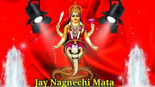 nagnechi mata status  nagnechi mata ringtone  nagnechi mata bhajan [upl. by Suhpesoj]