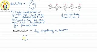 23  ARYLAMINE VERSUS AMMONIA [upl. by Ilanos]