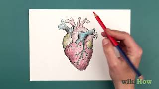 How to Draw a Human Heart [upl. by Sirtimid]