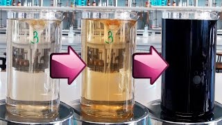 Chemical Clock BriggsRauscher oscillating Reaction [upl. by Lichtenfeld18]