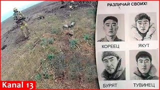 First video of killed North Korean soldiers at frontline Ukrainian army shows footage from Selidovo [upl. by Eirak]