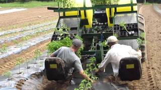 Water Wheel Transplanter in action at Langwater Farm [upl. by Anaeirb]