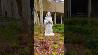 18th and the final apparition of the Blessed Virgin Mary to Bernadette Lourdes France 🇫🇷 [upl. by Hillery]