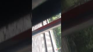 hhhhudgfjhsmds yadav bhojpuri funny rain dfghjklzxcvbnm khesariyakibetisapanwameaatihai [upl. by Jueta362]