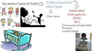 Sudden infant death syndrome SIDS and Sudden unexpected infant death [upl. by Hillery669]