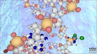 The Mechanism of Cisplatin New HD [upl. by Fernyak113]