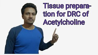 Tissue preparation for Dose Response Curve DRC of Acetylcholine [upl. by Boru]