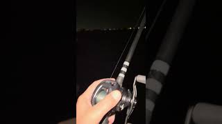 Lake Conroe Night Fishing sawgrassrods bassfishing daiwafishing [upl. by Eduj495]