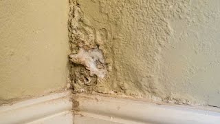 Damp proofing and wall repair you can do at home [upl. by Surbeck]