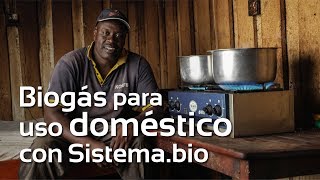 Biogás para uso doméstico con biodigestores Sistemabio [upl. by Annyrb]