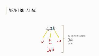 Osmanlı Türkçesinde Arapça Unsurlar Vezinlere Giriş [upl. by Ahsauqram]