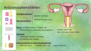 Anticonceptiemiddelen [upl. by Marva]