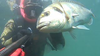 Chasse sous marine quand leau se réchauffe [upl. by Aluk]