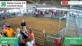 2024 Ripley County 4H Fair  Swine  Gilt Show [upl. by Milton]