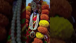 Koi durga kali bhavani khe 🙏🌹anitaarya704 shortsfeed shortvideo myfirstvlog viralday [upl. by Ecnarf]