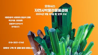 오아시스자연사박물관물품경매2024년 9월 28일토오후2시9월탄생석사파이어청금석루비골동품경매SapphirelapislazuliSeptembeBirthstone [upl. by Arney]