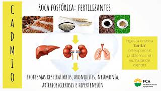 Toxicología Alimentaria Parte 2 [upl. by Aidan]