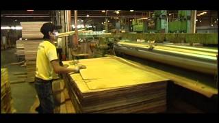 Plywood Manufacturing Process [upl. by Ciccia]