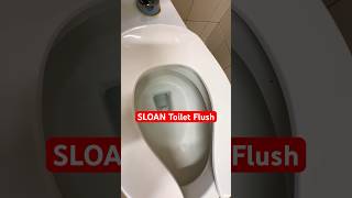 SLOAN Toilet in Women’s Room  Chuck E Cheese’s Kapolei Oahu Hawaii  Desensitization Training [upl. by Jermaine]