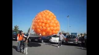 Lâché de ballons effectué par ballon evenement en Alsace [upl. by Eimyaj]