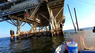 Dauphin Island Alabama dauphinisland alabama fishingvideo fishing shark [upl. by Favrot473]