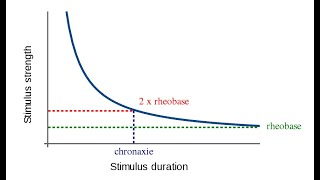 16 Accommodation and strength duration curve [upl. by Bainter]