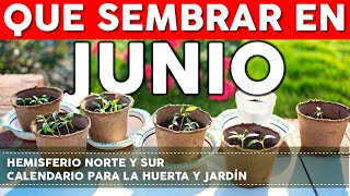 Calendario de Siembra 2022 Que sembrar en JUNIO en el Huerto de Primavera y de Otoño [upl. by Lsiel]