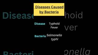 Diseases Caused by Bacteria 🦠💯  Bacterial Diseases 🧠😱 disease science education trending [upl. by Tessy]