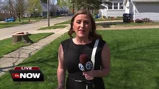 Tree falls on postal worker delivering mail in South Lyon [upl. by Suivatnod]