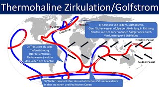 Thermohaline Zirkulation Golfstrom  Globales Förderband Erdkunde Mittel und Oberstufe [upl. by Nywloc855]