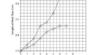 Liv Env Episode 3 Graphing [upl. by Ellehcram458]