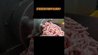 汉堡 汉堡是如何制作出来的食材 科普 汉堡 [upl. by Rez878]