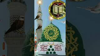 Hanjuan nal gussal deyannaatsharif madina islamicquotes [upl. by Jae]