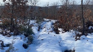 Yeşilbaş çiftini ormanın derinliklerinde ki gölde bulduk [upl. by Nosneb]