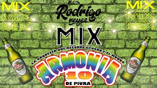 MIX ARMONIA 10  La Duda Solo Escribeme Serpiente  DJ RODRIGO REYES [upl. by Ailecnarf891]