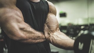 GET BIGGER ARMS  Dumbbell ONLY Bicep Workout [upl. by Nolram]