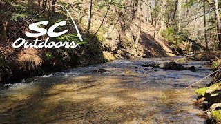 Exploring a PA State Forest Wild Trout Stream [upl. by Ytoc381]