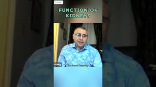 Physiological Functions Of Kidneys amp Its Complexity  Kidneys Functions [upl. by Domella709]