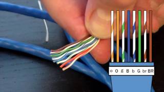 How to Make an Ethernet Cable  FD500R  24 Crimp Tool Demonstration [upl. by Erimahs]