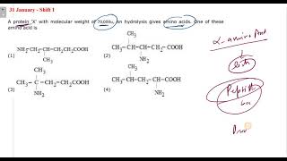 A protein X with molecular weight of 70000u on hydrolysis gives amino acids One of these amino [upl. by Geirk]