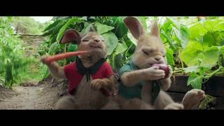 Peter Rabbit 2018 Trailer 1080p [upl. by Ahtel379]