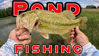 Tips To Catch More Fish While Pond Fishing [upl. by Tiff]