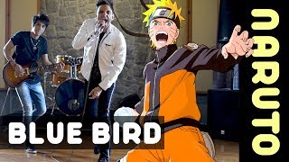 Blue Bird Naruto Shippuden・Ricardo Cruz [upl. by Suidualc]