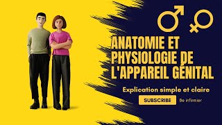 Anatomie et physiologie de lappareil génital  Explication simple et claire [upl. by Ileray907]