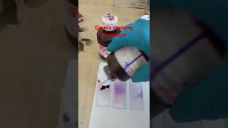 Gram staining procedure microbiology bacteria [upl. by Rialc]